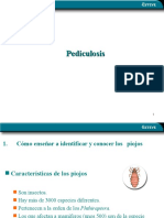 Pediculosis (1)