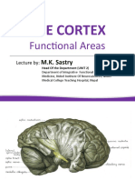 The Cortex - Functional Areas