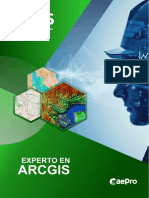 Brochure_ArcGis.pdf