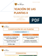 Clasificación de Las Plantas Ii - 1ro de Secundaria