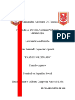 Examen Ordinario - Derecho Agrario - Luis Fernando Copalcua Lopantzi