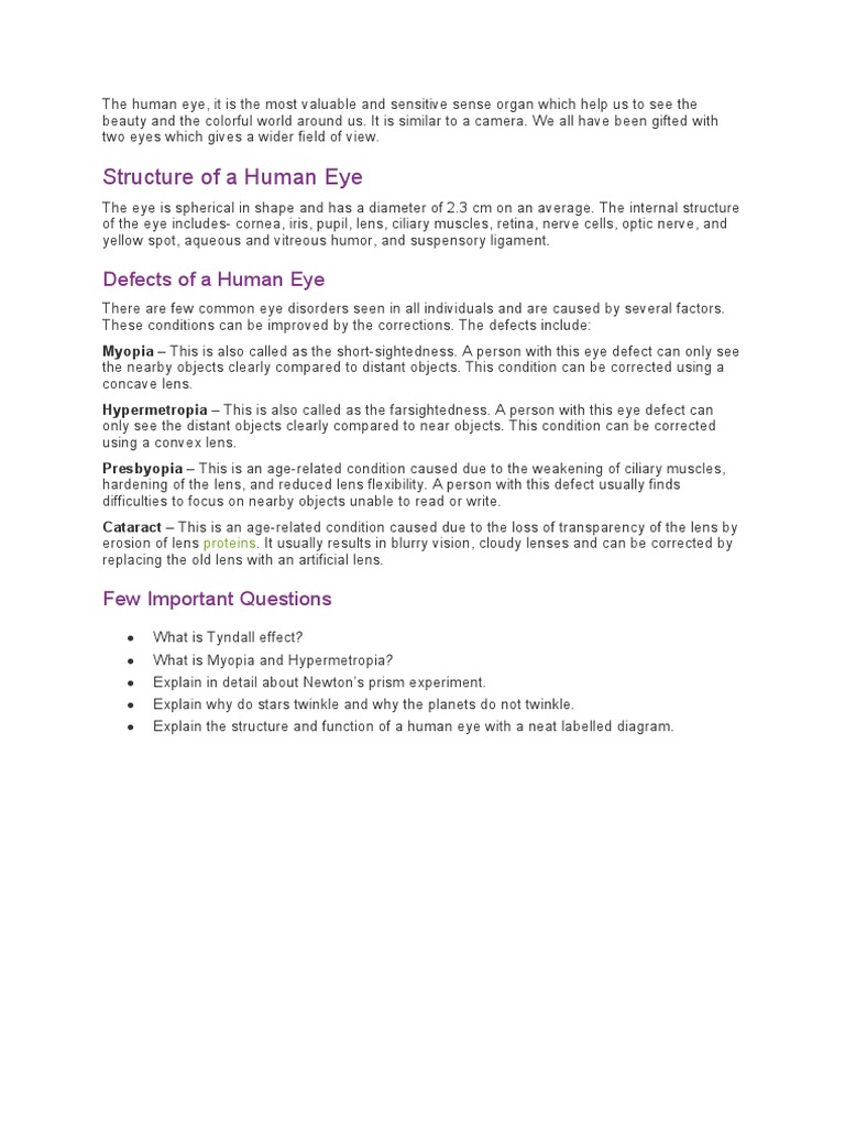 Understanding Human Eye Structure and Disorders | PDF