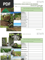 Ficha a entregar dia 7 de maio - TIPOS DE AGRICULTURA