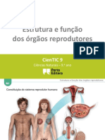 CTIC N1 - Estrutura e Função dos Orgãos Reprodutores