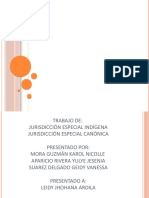 Jurisdicciones especiales indígena y canónica