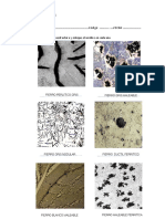 Practica Micrografias - 1.