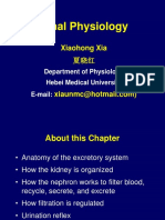 Renal Physiology: Xiaohong Xia