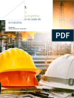 Informe Sector Manufacturing Argentina N14