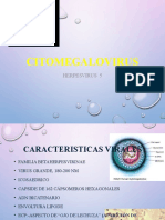 CITOMEGALOVIRUS (Herpes 5)