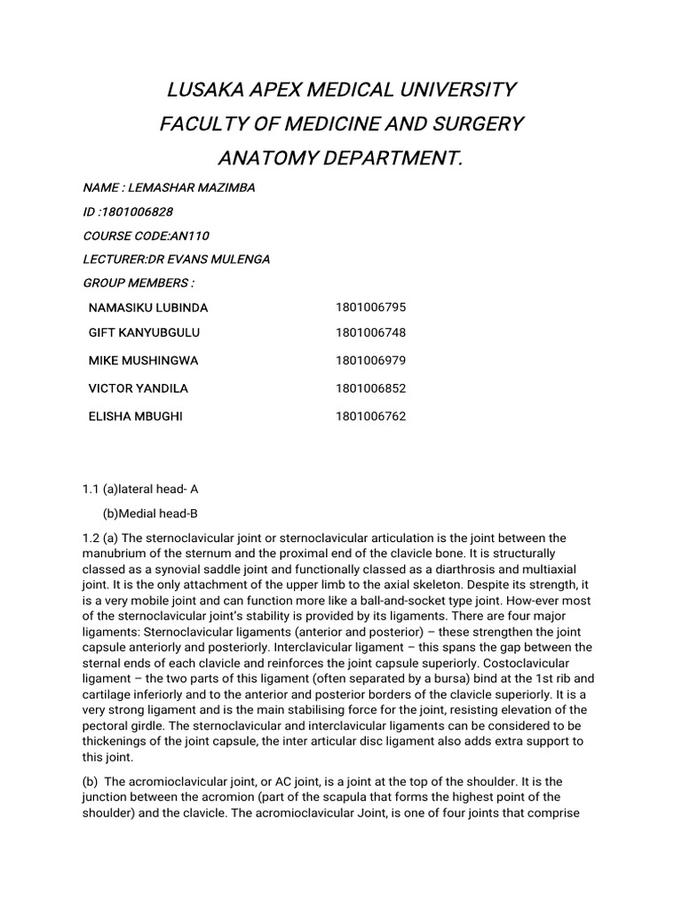 Anatomy Assignment Pdf