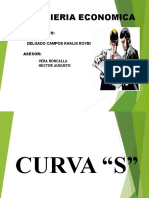 Curva S PC 8