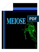 meiose_didatico