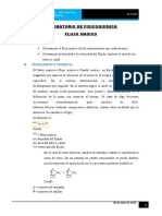 283983255-Flujo-Masico-Expocicion-Arreglo-Final