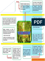 Mapa Mental Urbanismo