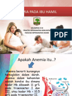 Anemia Pada Ibu Hamil