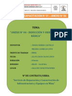 Informe Anexo N°4