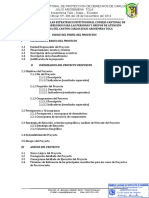 Proyecto Plan Estratégico Institucional - Derecho de Las Personas