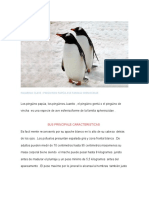 Los Pinguinos Papúa