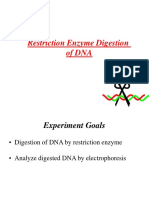 BIOS 302 Restriction-enzymes COURS_20_03_2020.pdf