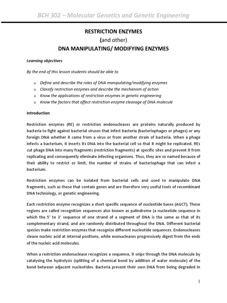 Restriction Enzymes in Genetic Engineering | PDF | Restriction Enzyme | Dna