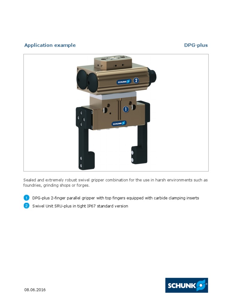 Application Example DPG-plus | PDF