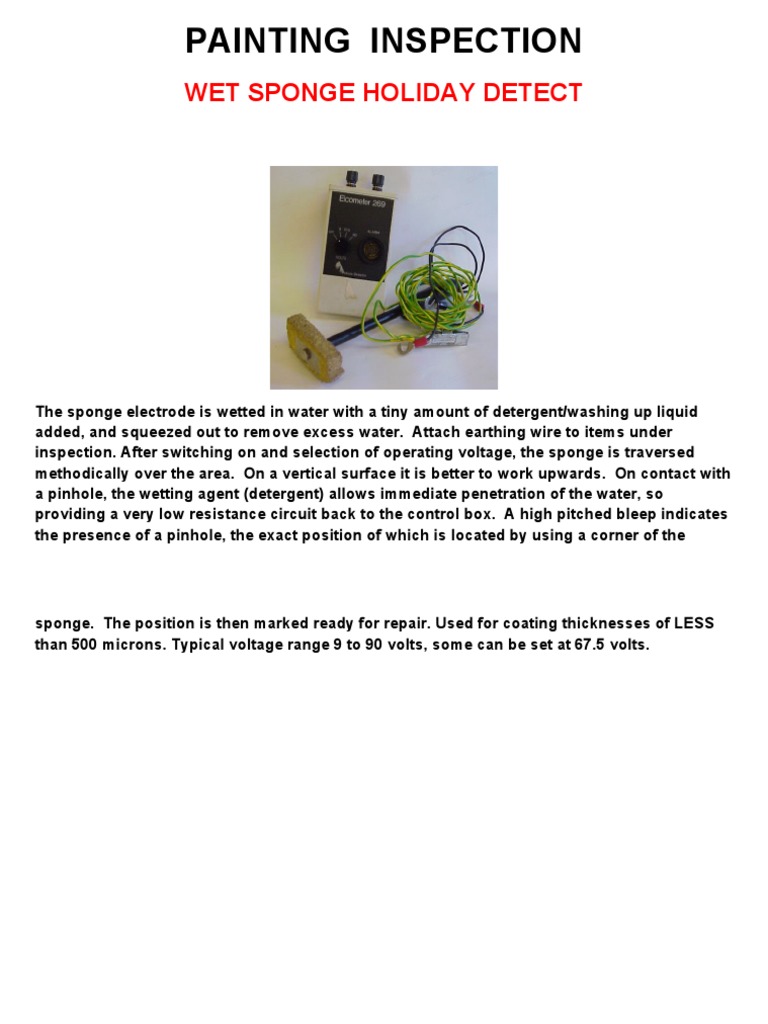 Holiday Inspection with Wet Sponge Method | PDF | Home & Garden
