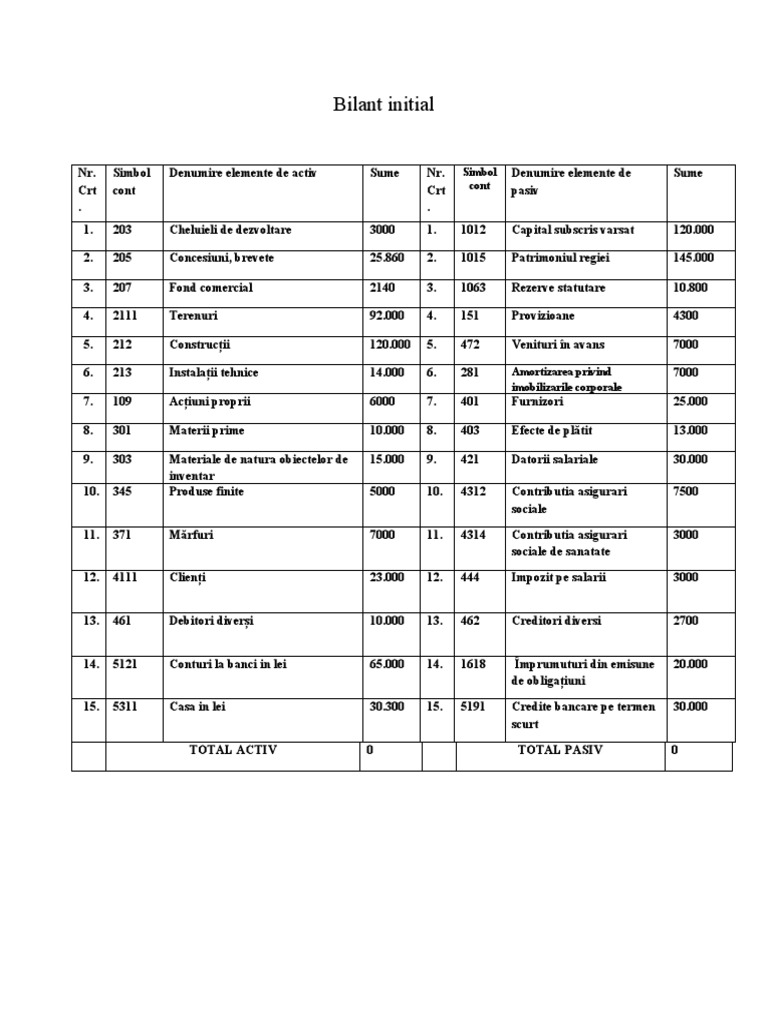 Model Bilant Initial | PDF