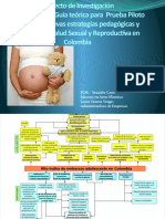 Proyecto Reduccion Del Embarazo Adolescente y Disminucion Crecimiento Poblacional