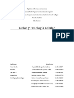 Ciclos y Fisiología Celular (Grupo 4) 1er Año Sección 9 (Full) 2