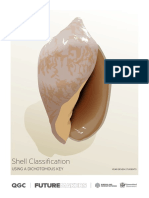 Shell Classification: Using A Dichotomous Key
