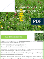 plantas indicadoras fertilidade solo.pdf