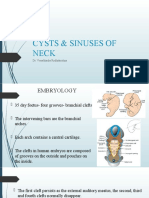 BSC Ott Neck Lesions