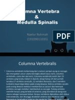 Columna Vertebra & Medulla Spinalis