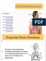 anatomi_pernafasan.ppt