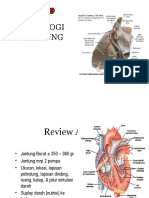 fisiologikardiovaskular.ppt