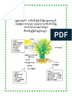 မြန်မာနိုင်ငံစပါးသီးနှံစိုက်ပျိုးရေးအတွက် ရေမြေသဘာဝနှင့် .