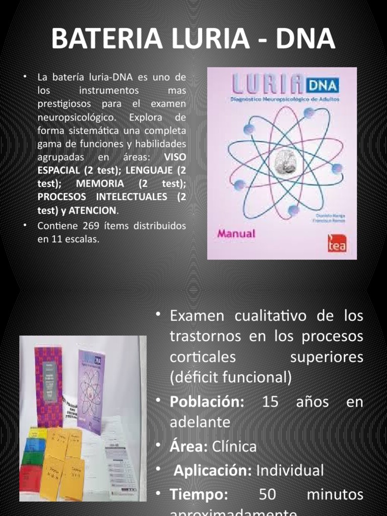 Luria Adultos | PDF | Memoria | Atención