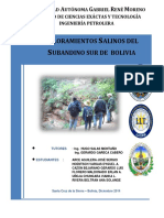 AFLORAMIENTOS SALINOS.pdf
