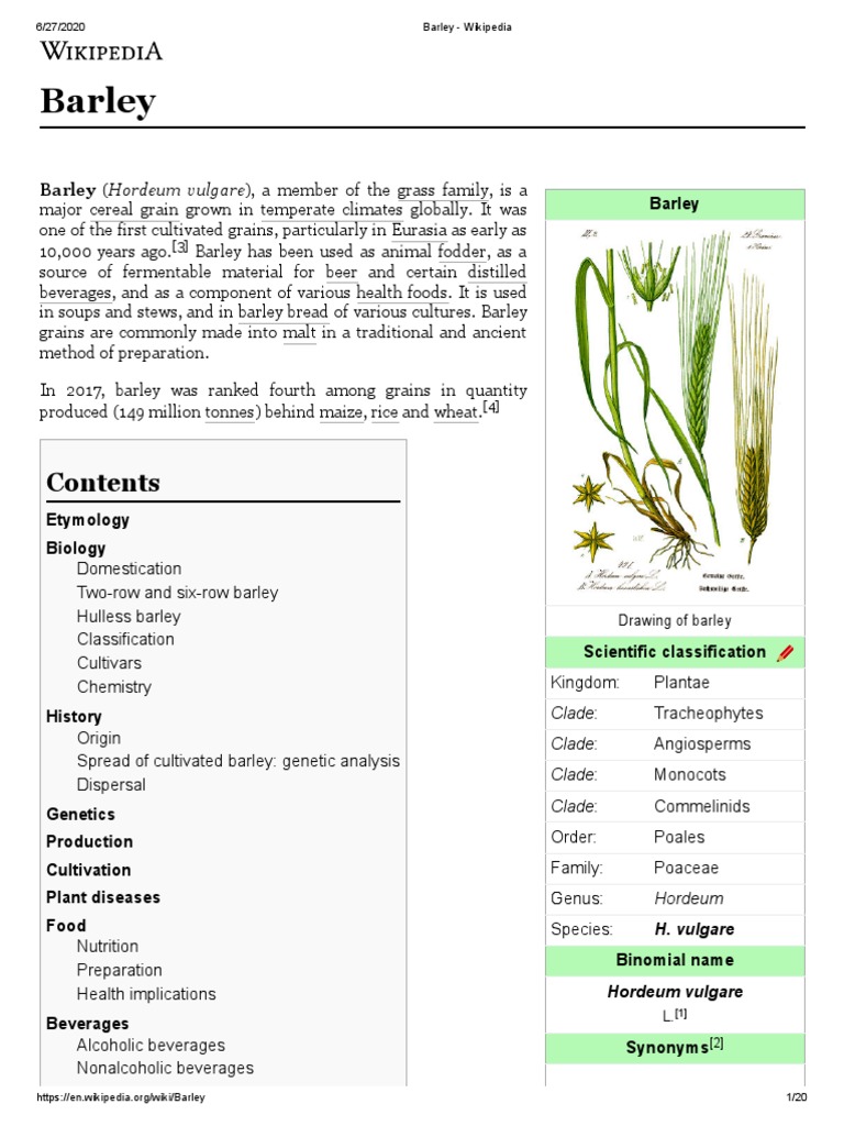 Mean dry weight (DW) of Secale cereale (rye) (A) and Lepidium
