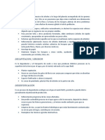 Problemáticas de Suelo y Ríos de Continentes