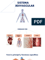 Presentacion Del Sistema Circulatorio-Diapositivas