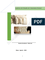 Guia de Estudio Primer Parcial Anatomia Dental