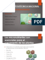 2016A-Grupo Micronutrientes.pdf