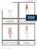 esqueleto-humano-letra-imprenta.pdf