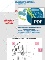 Citogenética 2020 PDF
