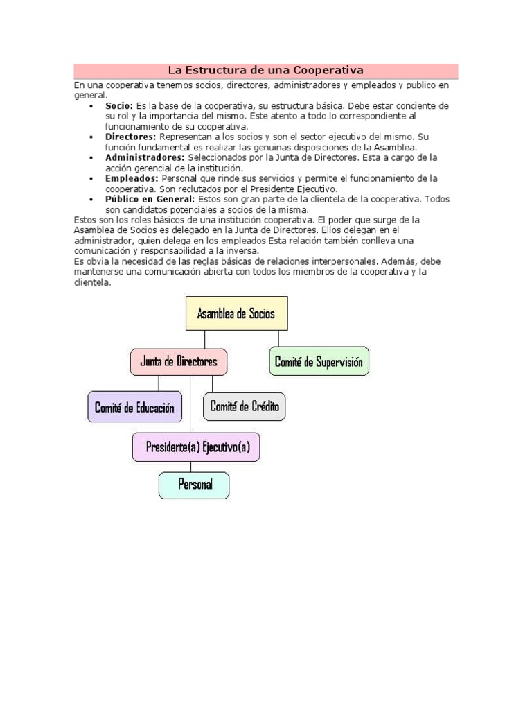 La Estructura de Una Cooperativa | PDF