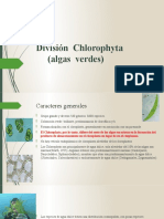 11va Clase Division Chlorophyta