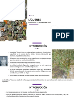 13va Clase. Liquenes PDF