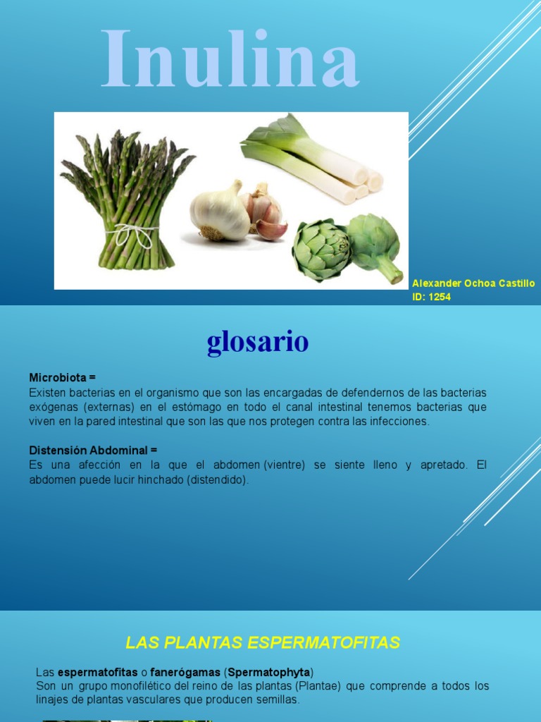 Inulina: Beneficios y Usos Nutricionales | PDF | Fibra dietética