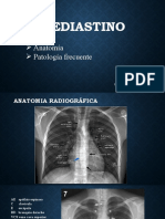 Mediastino - Teoria